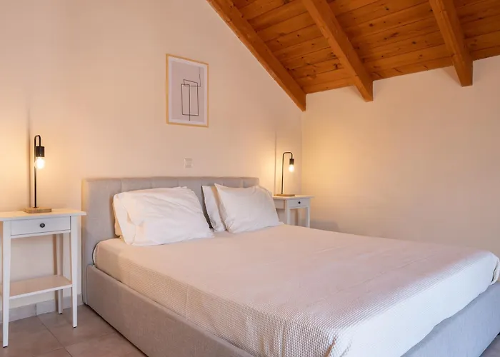 Helianthus * Argostoli (Kefalonia)