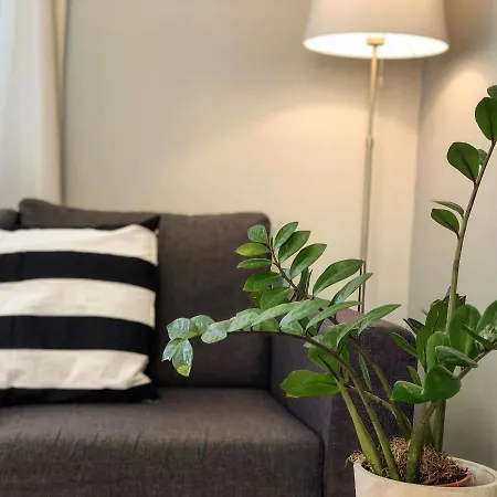 Helianthus Appartement *