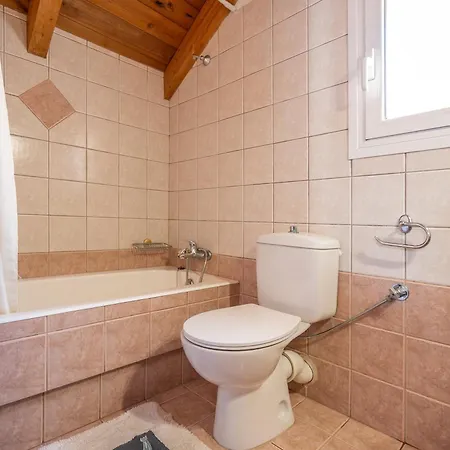 Helianthus * Argostoli (Kefalonia)