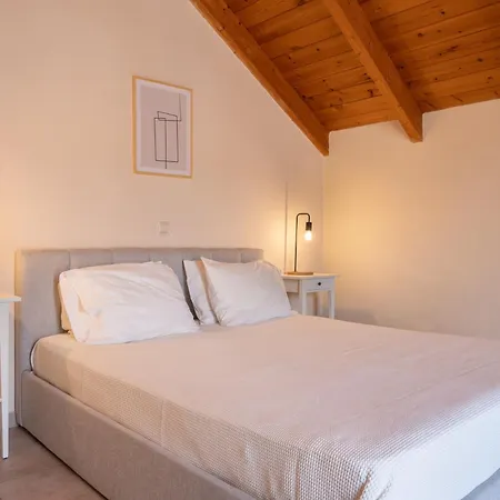 Helianthus * Argostoli (Kefalonia)